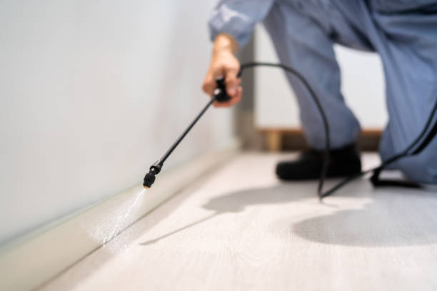 Professional exterminator conducting IPM assessment in Buffalo